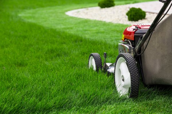 Cost of Grass Cutting Service in Saint Johns