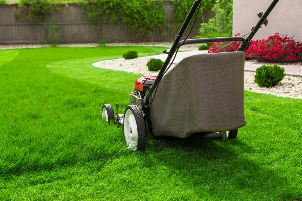 Cost of Lawn Mowing in Saint Johns