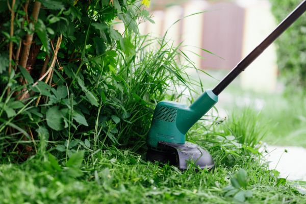 Cost of Weed Whacking in Saint Johns