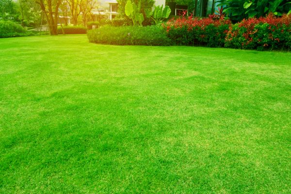 Cost of Grass Maintenance in Saint Johns