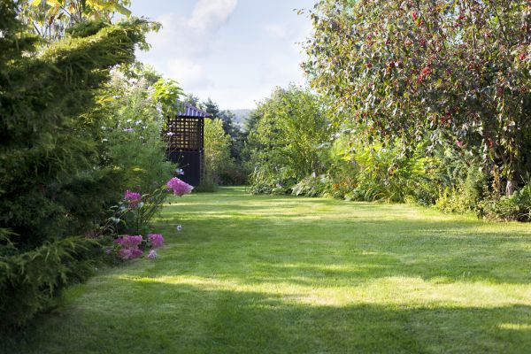 Cost of Yard Upkeep Service in Saint Johns