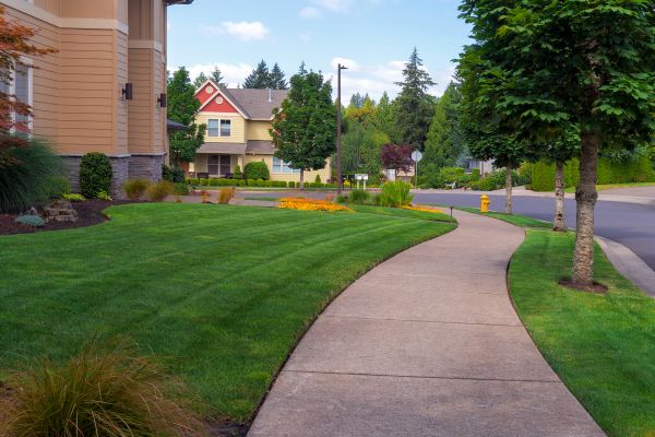 Cost of Home Lawn Maintenance in Saint Johns