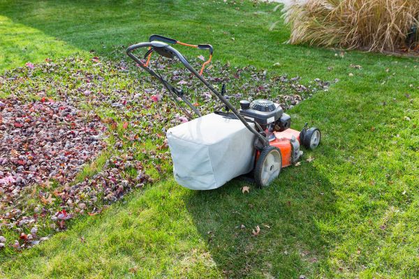 Cost of Seasonal Lawn Care in Saint Johns