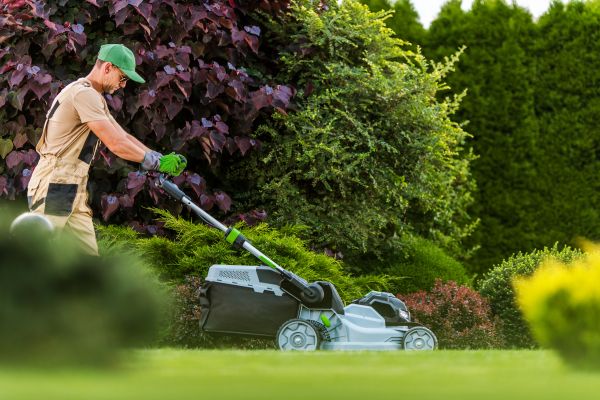 Cost of Lawn Management in Saint Johns