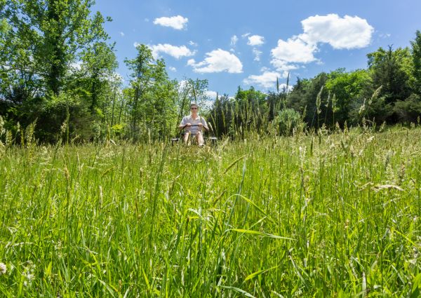 Cost of Long Grass Mowing in Saint Johns