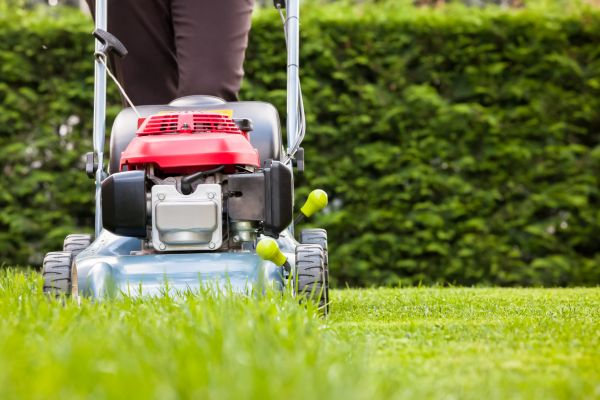 Cost of Grass Trimming Service in Saint Johns