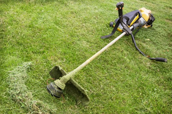 Cost of Hillside Weed Whacking in Saint Johns