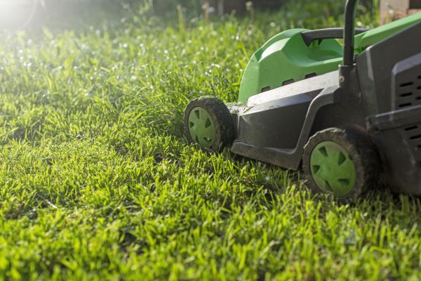 Cost of Lot Mowing in Saint Johns