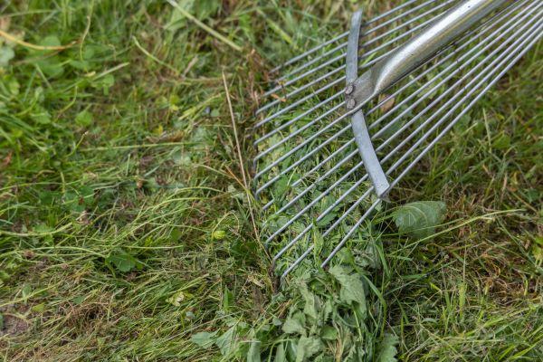 Cost of Thatch Raking in Saint Johns
