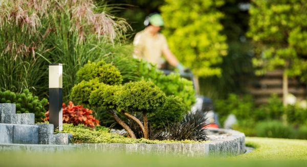 Cost of Residential Yard Maintenance in Saint Johns