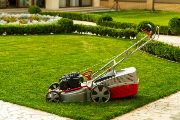 Business Grass Cutting in Saint Johns
