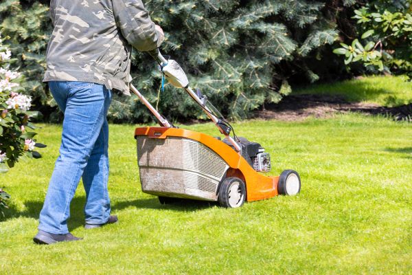 Cost of Springtime Lawn Care in Saint Johns