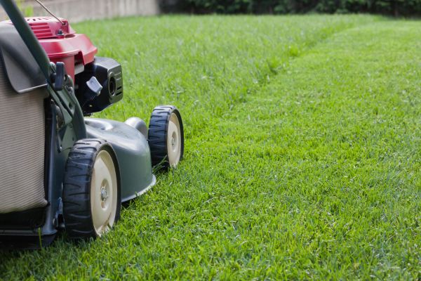 Cost of Spring Lawn Maintenance in Saint Johns