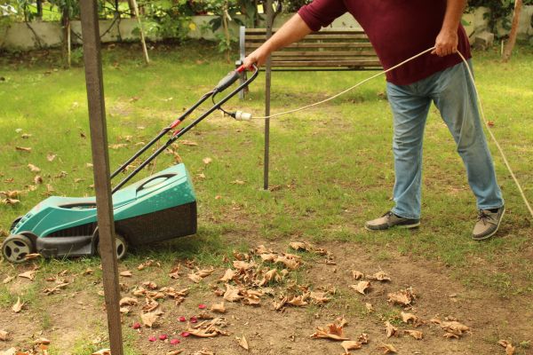 Cost of Leaves Mowing in Saint Johns