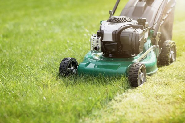 Cost of Spring Grass Trimming in Saint Johns