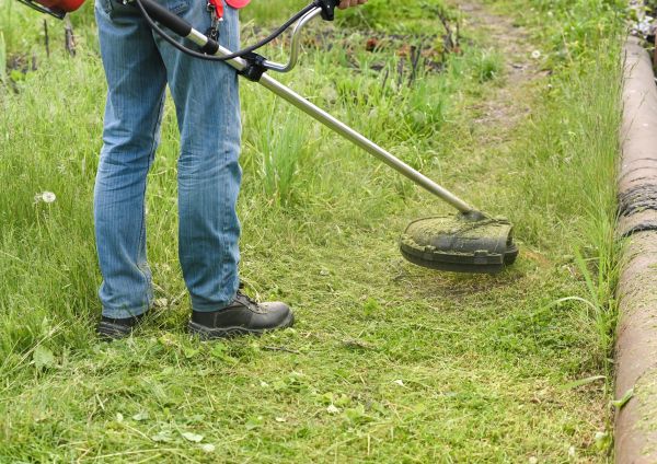 Cost of Tall Grass Trimming in Saint Johns
