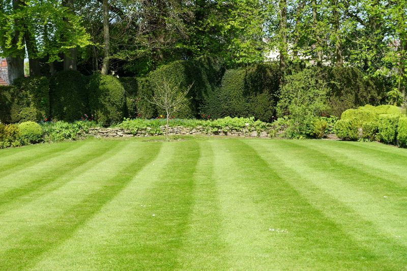 Lawn with Edging